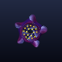 Flowerball, member 10