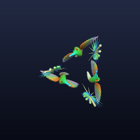 FlyingFish, member 12