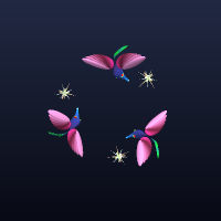 FlyingFish, member 13