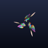 FlyingFish, member 16