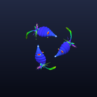 FlyingFish, member 2