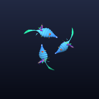 FlyingFish, member 5