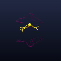 Neuron, member 7