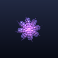Octoplant, member 15