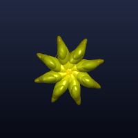 Octoplant, member 16