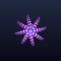 Octoplant, member 3