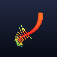 Parasite, member 12