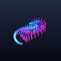 Parasite, member 5