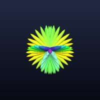 Phoenix, member 15
