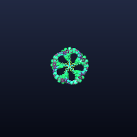 Star, member 8