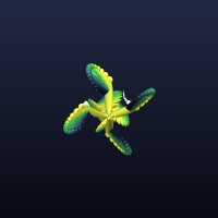 Starfish, member 10