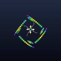 Starfish, member 12