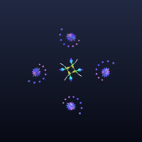 Starfish, member 14