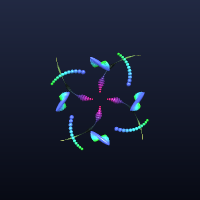 Starfish, member 4