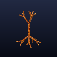 Tree, Sapling